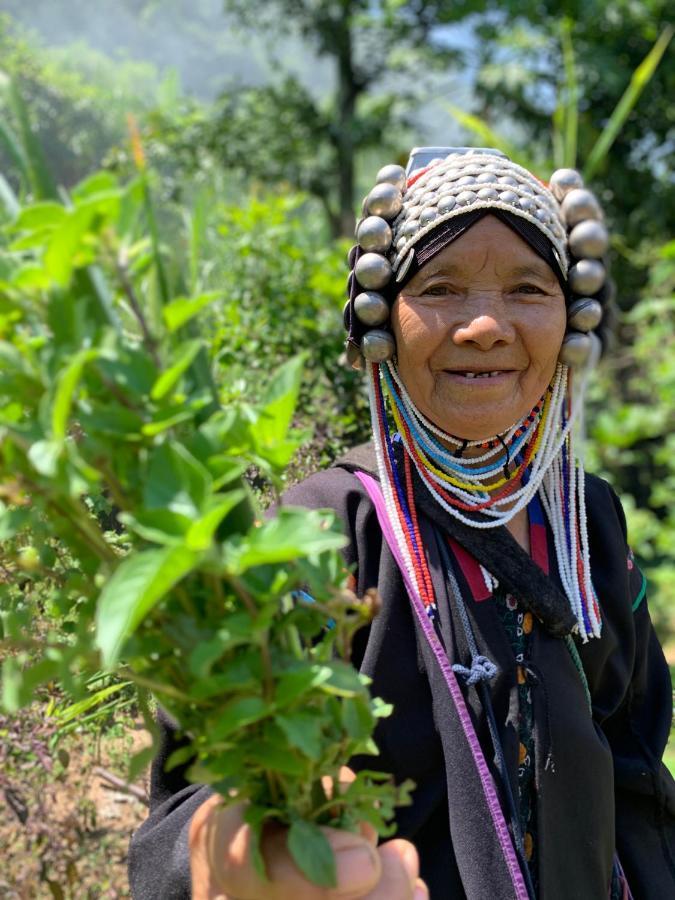 La Maison - Chiangmai Mae Taeng Eksteriør billede
