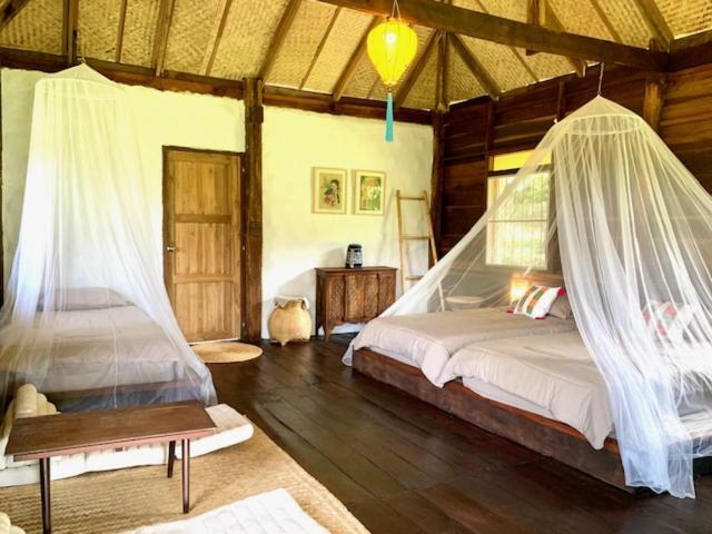 La Maison - Chiangmai Mae Taeng Eksteriør billede